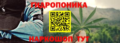 прущие грибы Краснознаменск